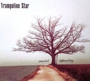 Trampoline Star